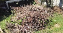 捨てるのも大変な“大量の剪定枝”→細かくして、庭にびっしり敷くだけで……　目からウロコなアイデアに反響