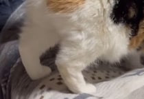 【画像】全身を見る