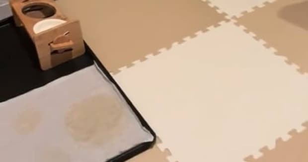 息子が半年ぶりに帰省したら…… 「こんなの嬉しすぎて泣く」とんでもない光景が134万再生「マジ可愛すぎて力抜けた」