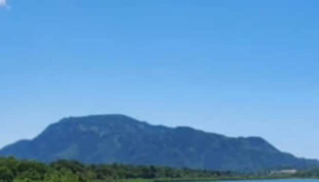 外来種に破壊された湿地→3年間、対策を続けたら……　劇的な変化が「すごい」「諦めないって大事」と200万表示