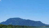 外来種に破壊された湿地→3年間、対策を続けたら……　劇的な変化が「すごい」「諦めないって大事」と200万表示