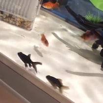 【画像】目を疑う光景