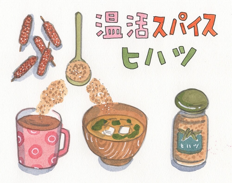 からだを温めるスパイス「ヒハツ」