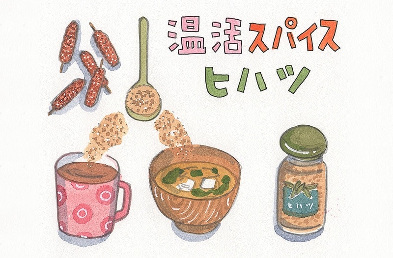 からだを温めるスパイス「ヒハツ」