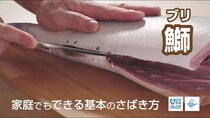 「魚をさばく」ことで「海を大切にする」ことを伝えたい――総再生数3,300万回YouTubeチャンネルの思い