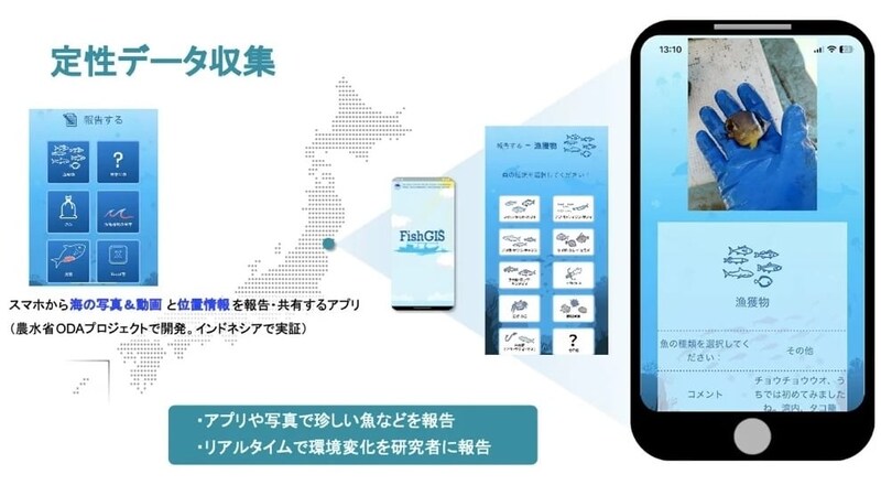 「定性データ収集アプリの概要図。スマートフォンから海の写真や動画と位置情報を報告・共有するアプリ