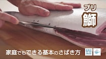 「魚をさばく」ことで「海を大切にする」ことを伝えたい――総再生数3,300万回YouTubeチャンネルの思い