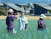 農業の人手不足と、障害のある人の就労先不足を解決する「農福連携」。その成果や意義とは？
