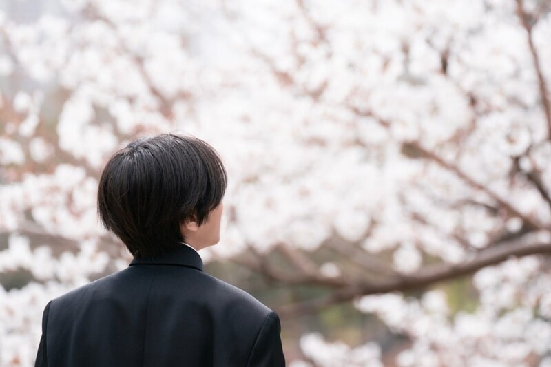 イメージ：桜の木を見つめる若者