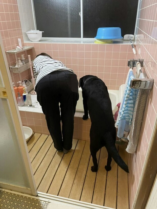 「飼い主に似るって本当」ママと愛犬の後ろ姿に4.6万いいね「ちゃんと仕事してる感」「かわいい」