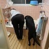 「飼い主に似るって本当」ママと愛犬の後ろ姿に4.6万いいね「ちゃんと仕事してる感」「かわいい」