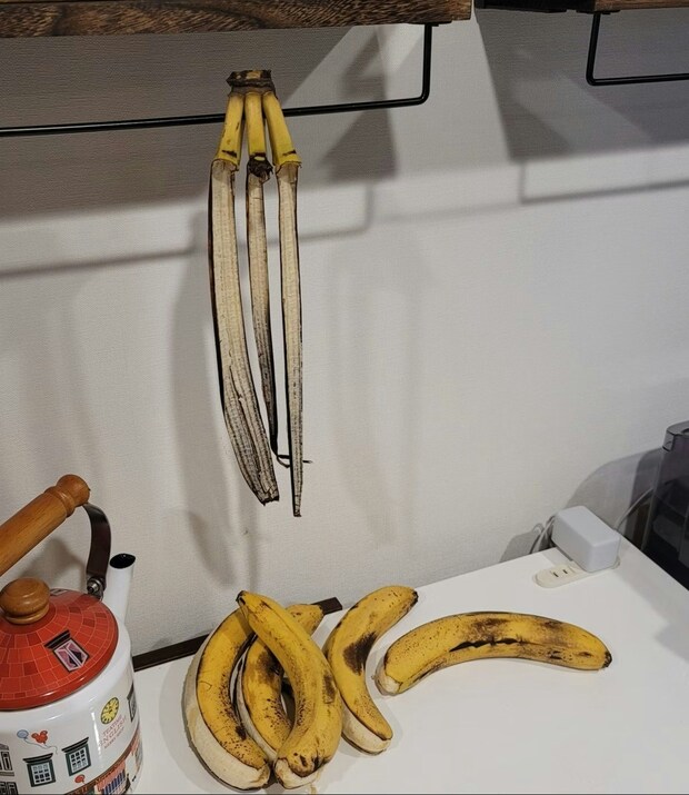 本当に「脱皮」してたんです…。朝から笑いと驚きをくれた”犯人”に、みんな「そんなバナナ」