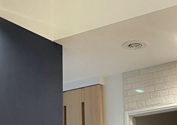 真夜中、部屋の上から視線を感じて…目が合った“その相手”がかわいすぎると話題に！7万いいねの癒し投稿