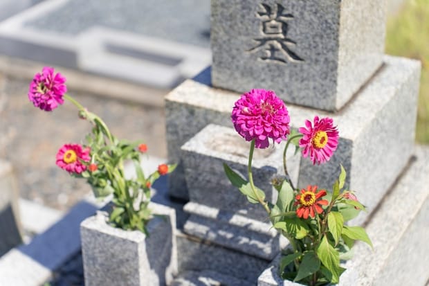 保険金持ち逃げした妹をブロック…母の死で変わった家族の関係性|母親の保険金を持ち逃げした妹