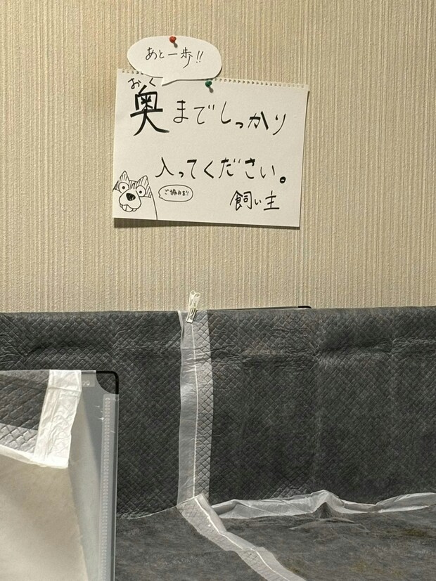 犬が貼り紙を読む瞬間が話題！ 驚きの姿に4万いいね「見てるのかわいすぎ」