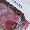 質問に即答！「いちご食べたい人」でまさかの挙手ポーズ　6万いいね「はい！」「この真剣さよ」