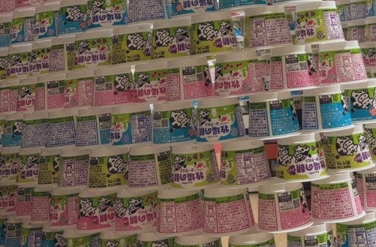 【圧巻】夕飯買い出しから帰ったら→リビングにそびえ立つ力作に1.9万いいね「めちゃ楽しそう」