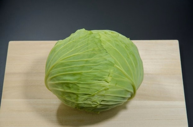 【あなたもですか？】キャベツの「あの音」で亡き愛犬を思い出す…静寂が苦しい飼い主たちに18万人が涙した理由