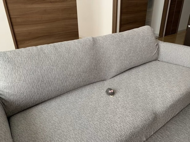 「おハム様」「来世はこれ」と大喜利状態！家庭内カースト最上位の貫禄を見せる爆笑の鎮座写真が13万バズ