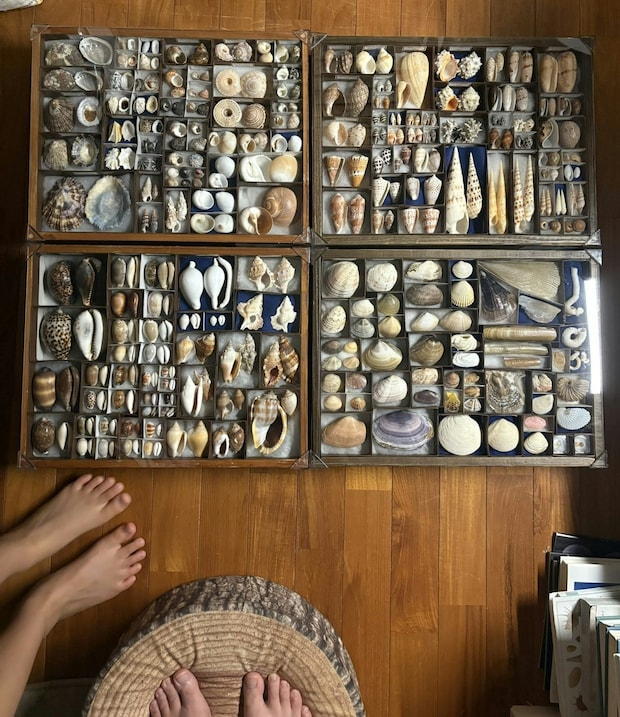 「親子で頑張りました」自由研究の成果物が圧巻で2.4万いいね「素晴らしい」「一生の思い出」