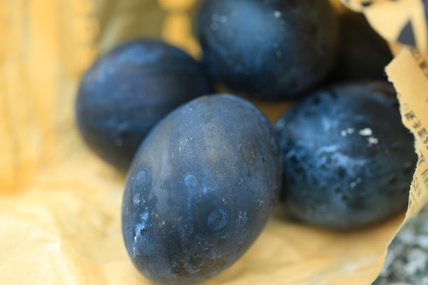 「反抗期でも憎めない」理由がこれ！中学生男子が涙目で語った「黒いタマゴ」への純粋すぎる想いに45,000人がほっこり