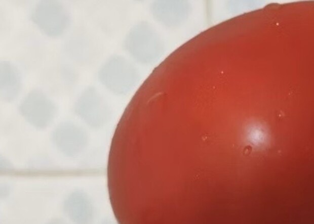 「見て…」ちょい恥？トマトの“奇跡の姿”に3万人が爆笑「ハートだったんじゃ…」「憶測ですけど…」