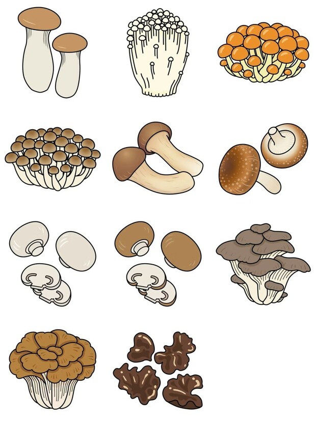 「子どものころ無かったよね？」アラフォー共感→レギュラー化したキノコに8万いいね！「しれっと棚に…」