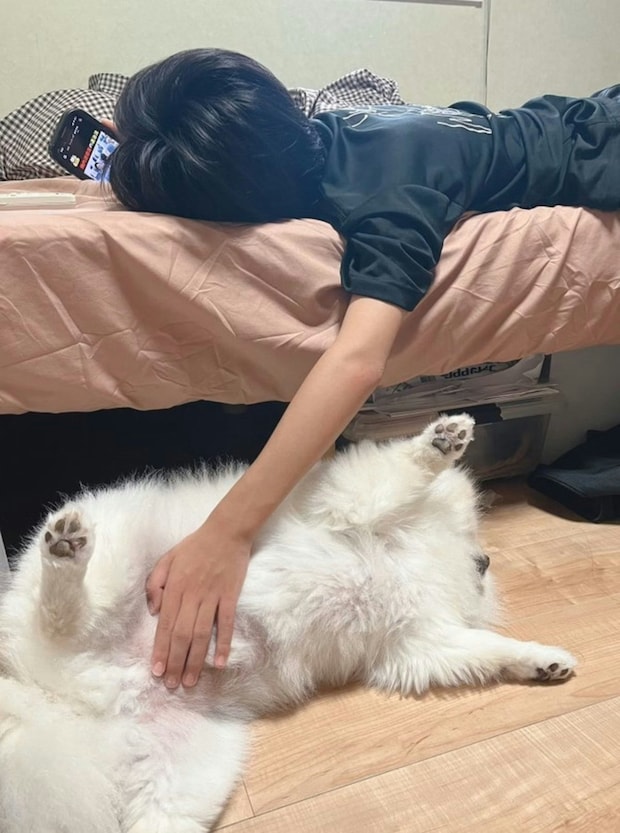 「幸せが溢れてる」3.8万いいね！子どもと愛犬がシンクロした「夏休みモード」の尊すぎる光景とは？