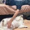 「幸せが溢れてる」3.8万いいね！子どもと愛犬がシンクロした「夏休みモード」の尊すぎる光景とは？