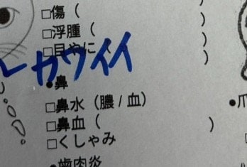 【納得】子猫のカルテに獣医が思わず「かわいい」→書いた理由に11万いいね「記録として大事」「素敵」