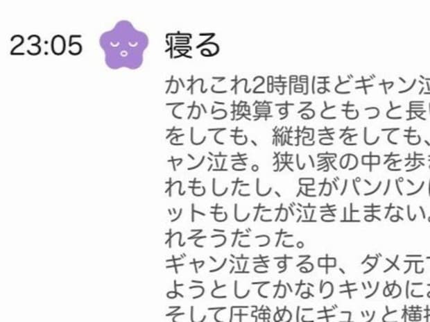 「かれこれ2時間ほど…」夫の“寝かしつけログ”に1.9万いいね「素敵な夫」「子育てを知る人のログ」