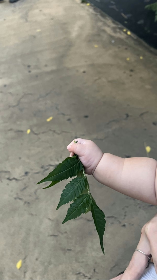 小さな手で“人生初のミッション”達成…！尊すぎる瞬間に3300いいね「これはたまらない」