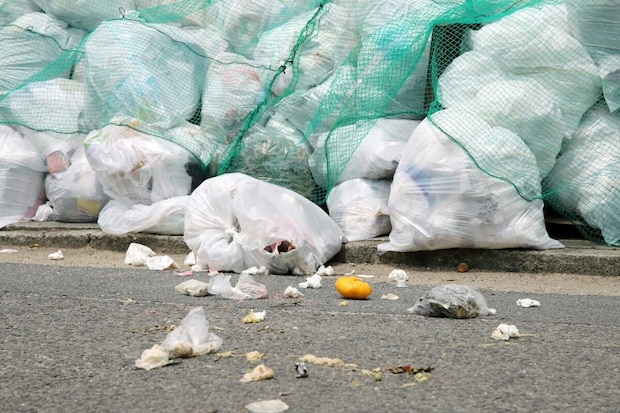 【ショック】ボスママに目をつけられたママ友→不当な監視を受けた結末がひどい｜近所のヤバいママ