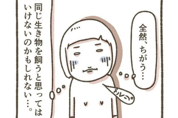 【甘くなかった】「経験者なら大丈夫」はウソ。保護犬を迎えるための”壁”