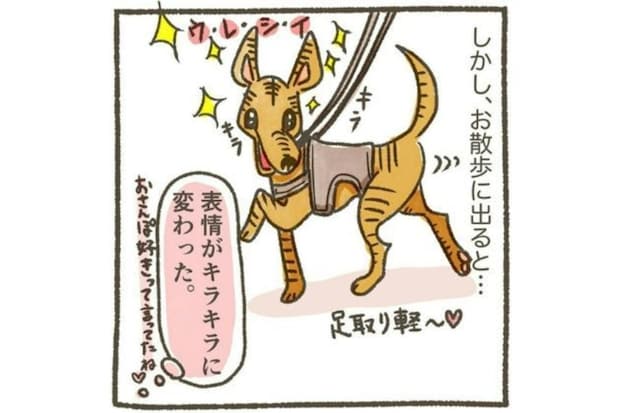 心を開かない保護犬と距離が縮まった！初めて見せたキラキラ顔に希望を感じた