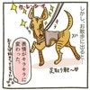 心を開かない保護犬と距離が縮まった！初めて見せたキラキラ顔に希望を感じた