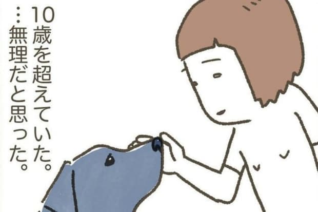 理想と現実に悩む…わが家の生活スタイルにマッチする「犬」について、とことん考える