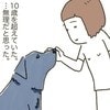 理想と現実に悩む…わが家の生活スタイルにマッチする「犬」について、とことん考える