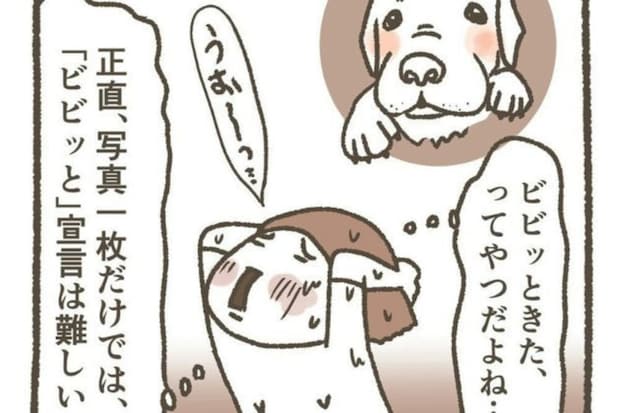 諦めかけたその時！「特別な縁」を感じ、わが家に完ぺきにマッチした保護犬との出会い