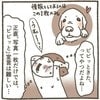 諦めかけたその時！「特別な縁」を感じ、わが家に完ぺきにマッチした保護犬との出会い