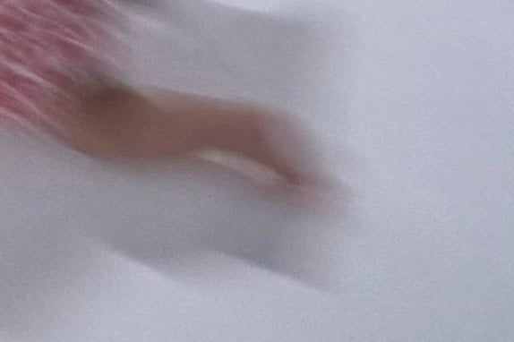 ハイハイの概念が壊れる!笑→異次元の速さの【独走赤ちゃん】に13万いいね「声出た」「躍動感」