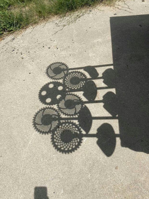 なんの影かわかる？農園で見た【ひまわりの影】正体に11万いいね「これはかわいい発見」