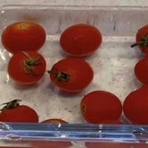 【保存版】ちょっとの工夫で長持ち・節約に◎おなじみ野菜の保存テクが超お役立ち