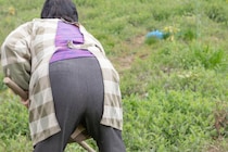 【拍手】津波避難、1人暮らしのおばあちゃんが「賢い行動」→判断力に1.6万いいね「単身は怖いよね」