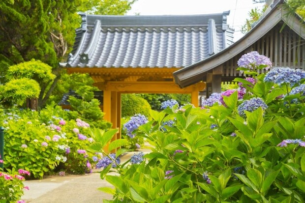 昼間歩いていたら「お休み?」と聞かれ→寺の人からの【最高な労い】に9千いいね「なんて素敵な人」