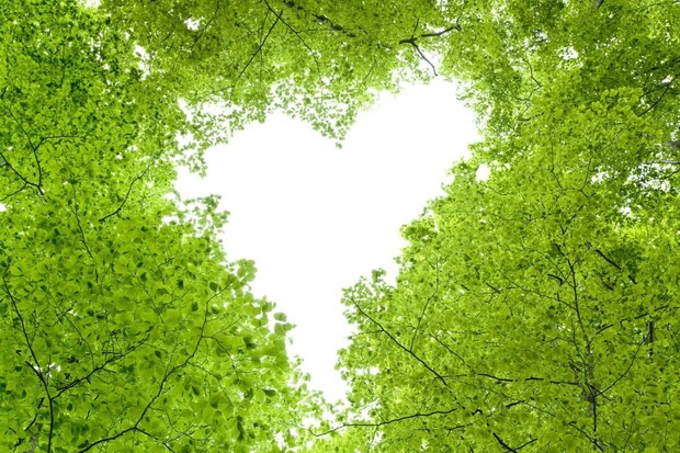 嫁のつわりのひどさを見かねて…ひそかにしていた行動に7.3万いいね「義父かわええ」「いい人」