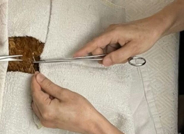 【2万いいね】心臓外科医パパ、幼い娘と二人三脚で手術に挑んだ結果が温かい