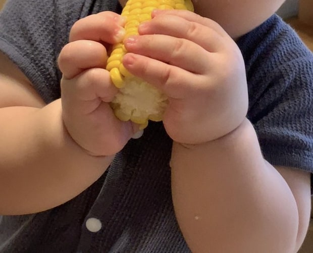 “三千里くらい後追いする”子→トウモロコシを与えた結果がXで反響「うちはチャンネル玩具」