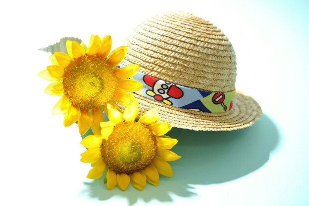 「私にはいとこが11人いて…」大人になって不思議に思う、夏の記憶に5万いいね「最高に楽しい」「奇跡」