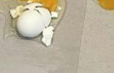 「朝からこんなことある？」忙しい母のショッキング写真に4千いいね「お疲れ様」「たぶん…夢」